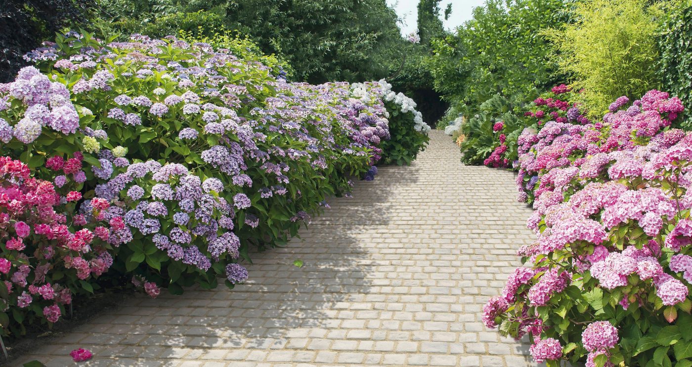 Vrtna staza uređena Semmelrock opločnikom