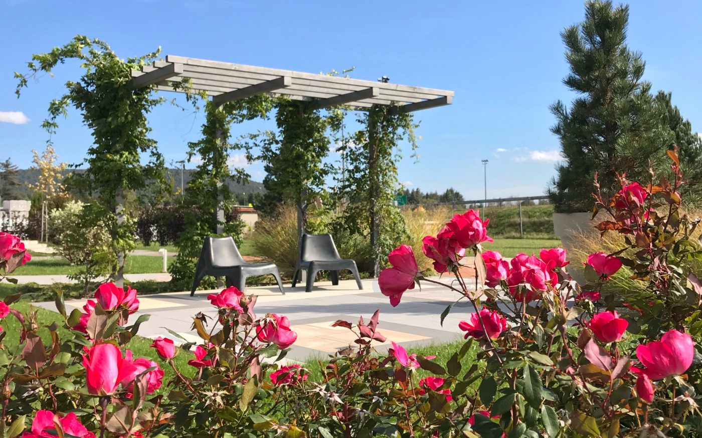 Cvijeće u izložbenom vrtu