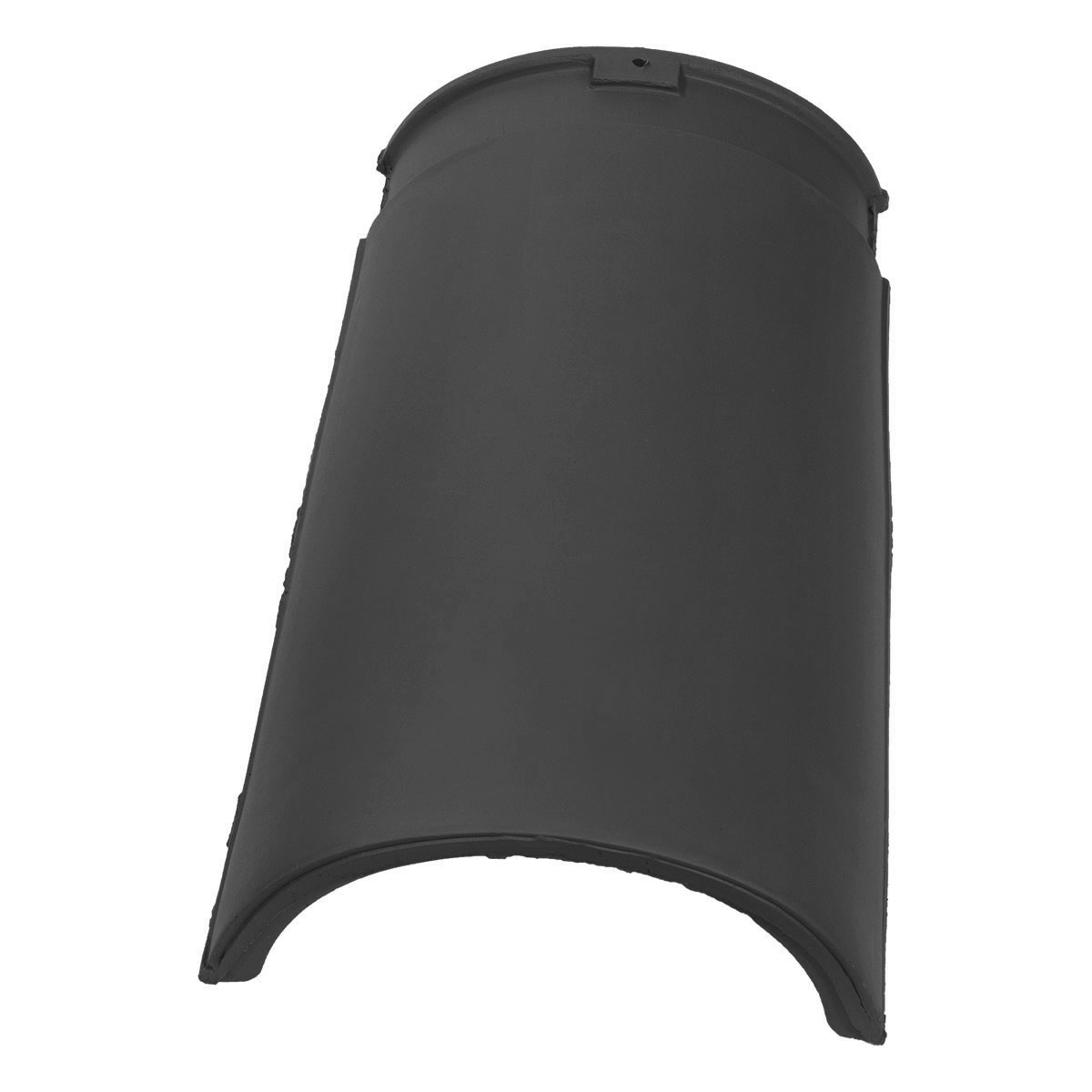 Crni glatki sljemenjak na bijeloj pozadini 