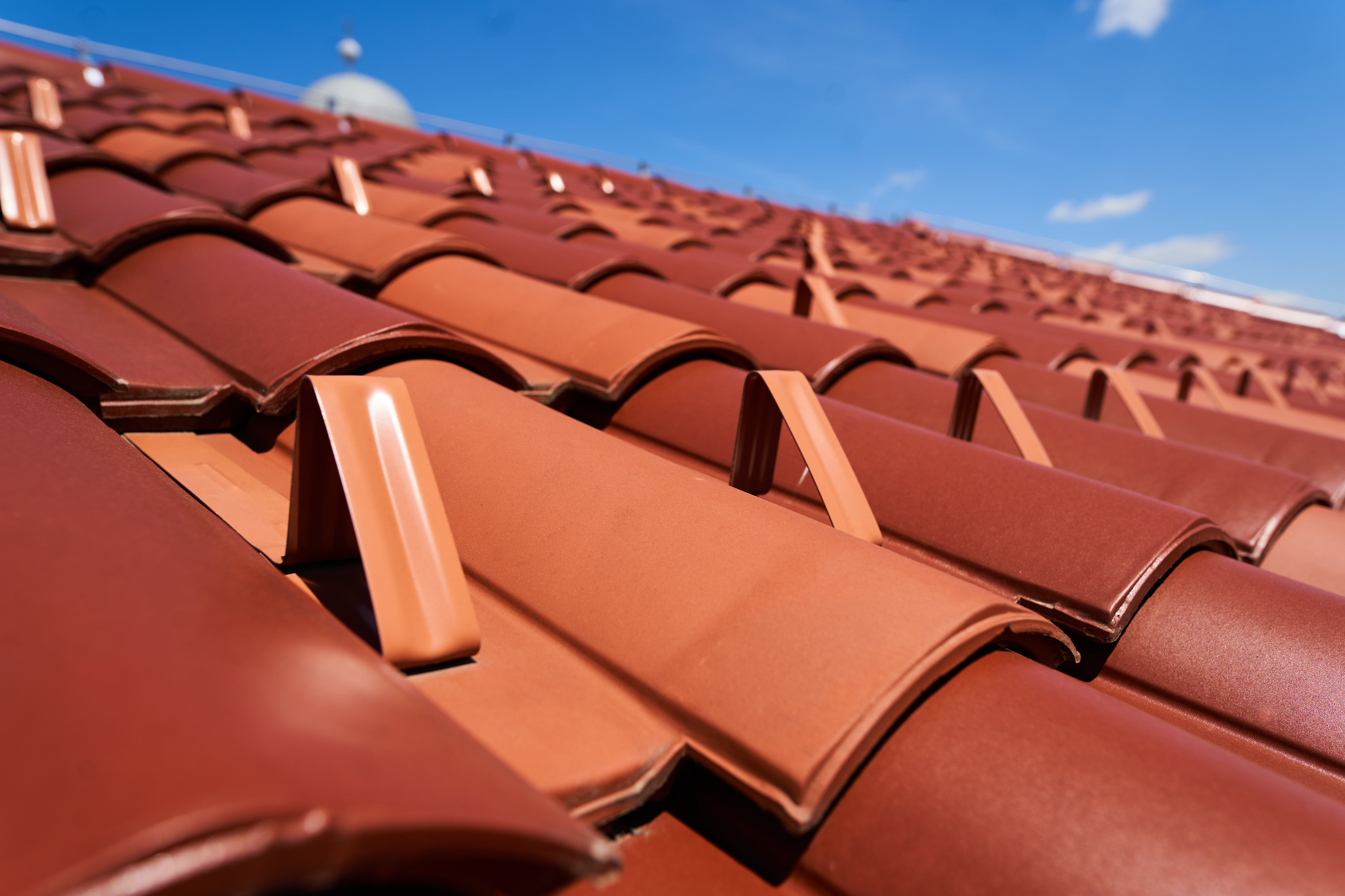 Crveni snjegobrani na crvenom valovitom crijepu