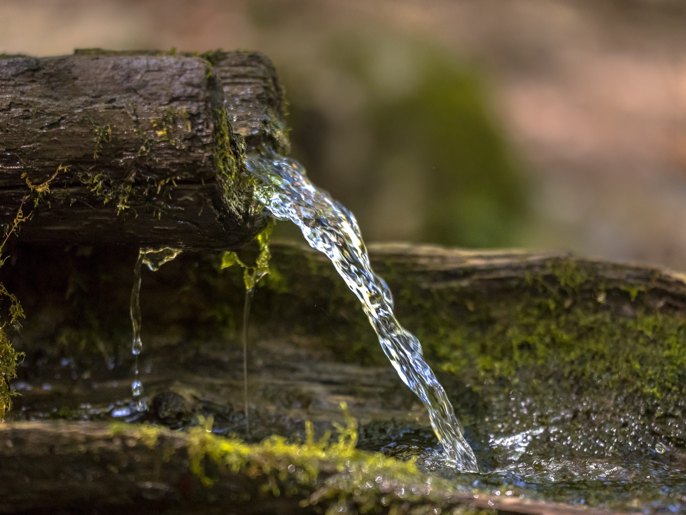 Sretna obitelj sjedi na kauču u domu