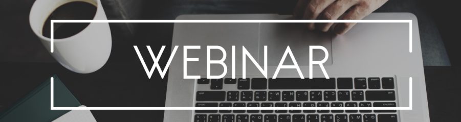 Wienerberger webinari
