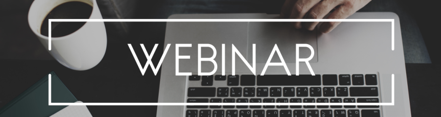 Wienerberger webinari
