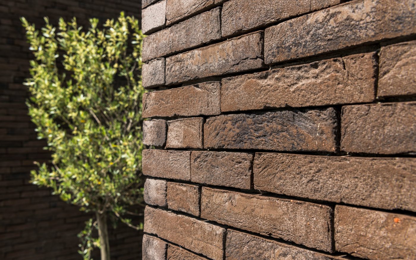 Terca fasadna opeka smeđa