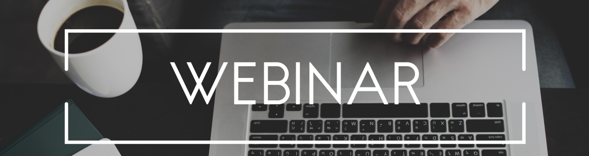 Wienerberger webinari