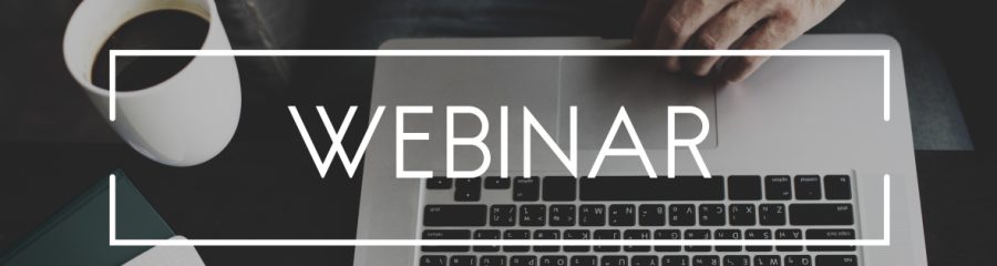 Wienerberger webinari