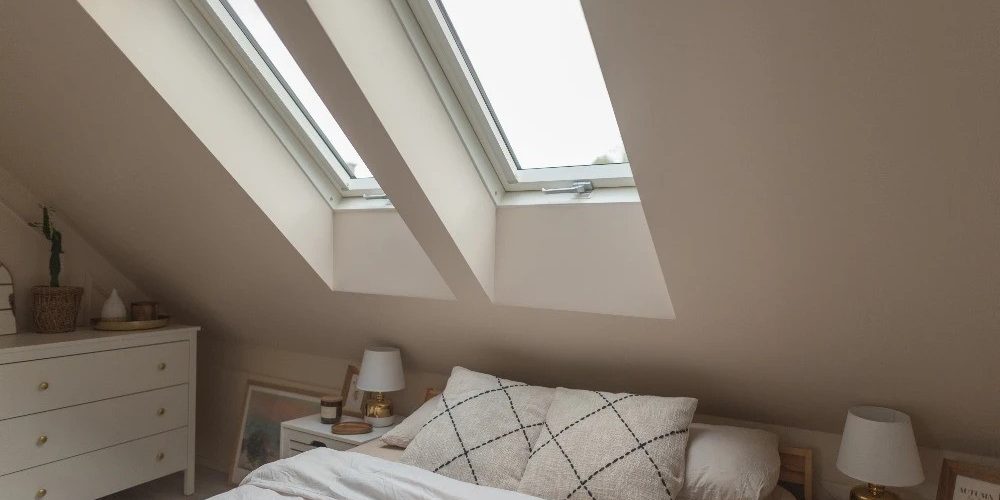 Colaboration with Leda Bosnić