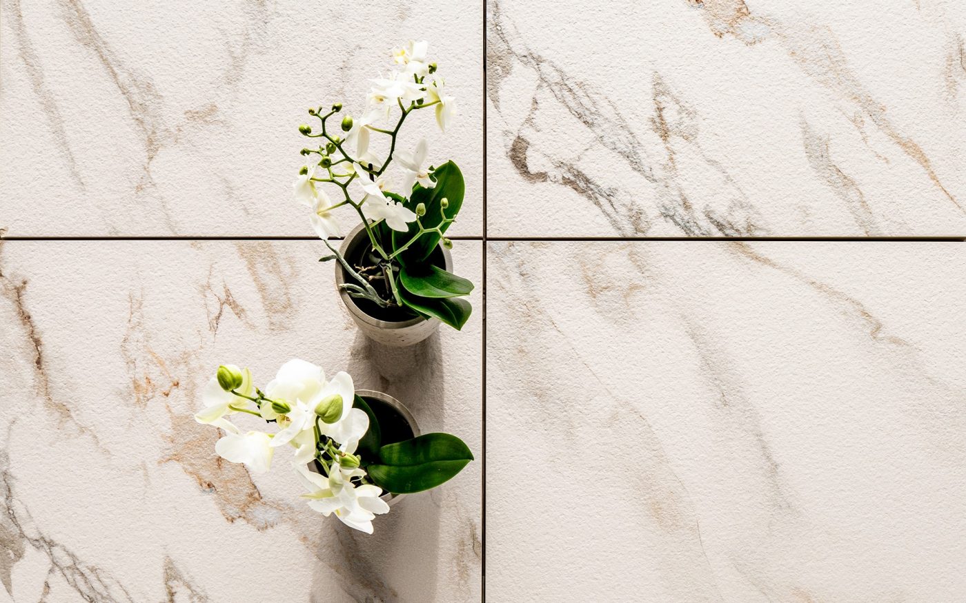 AirPave Malaga, cala