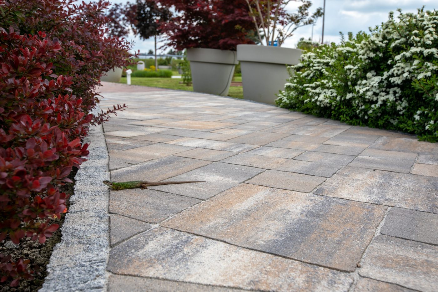 Semmelrock višebojni betonski opločnici za uređenje staze uz vrt s ukrasnim grmljem i cvijećem