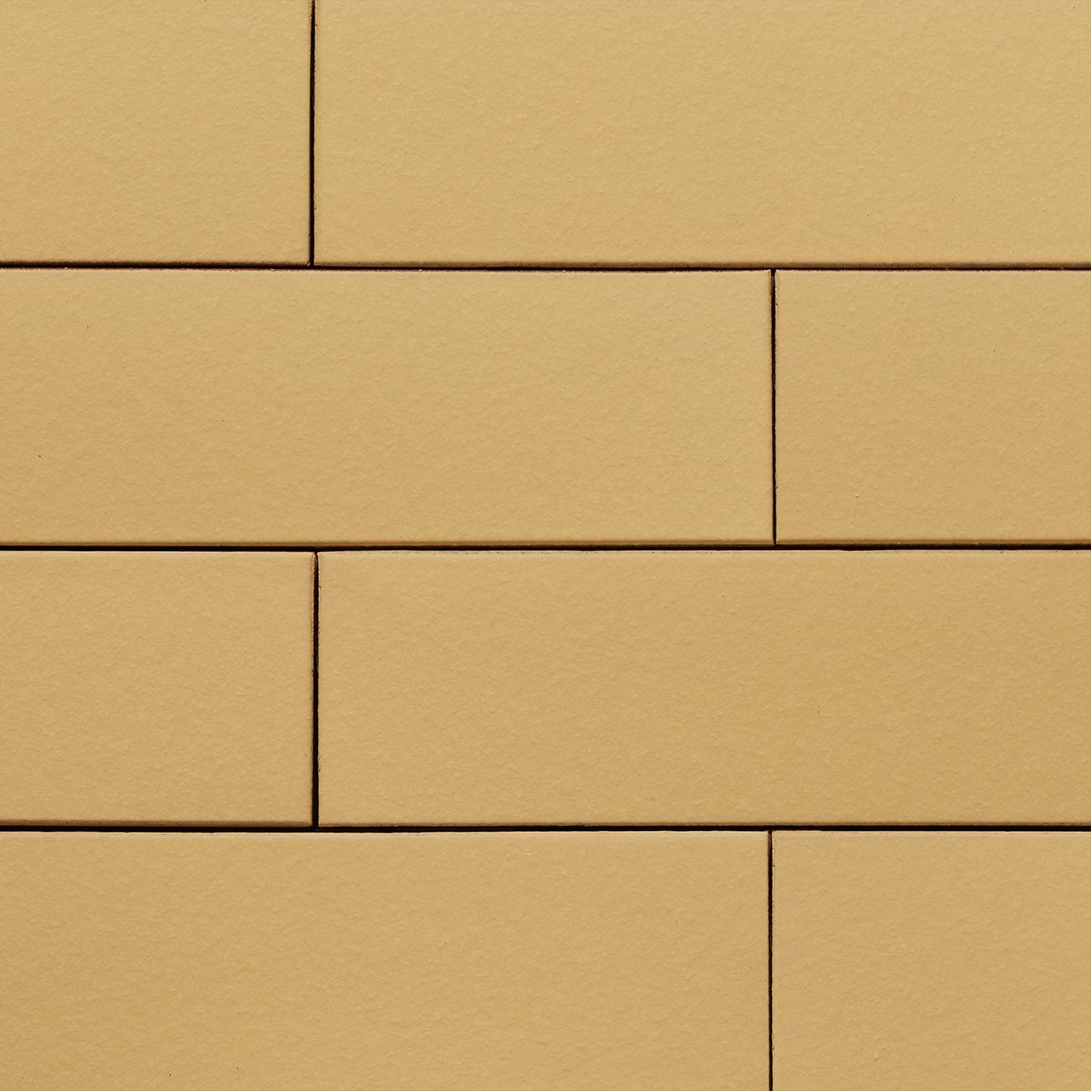 Ammonit Armis Mango Yellow slip opeka