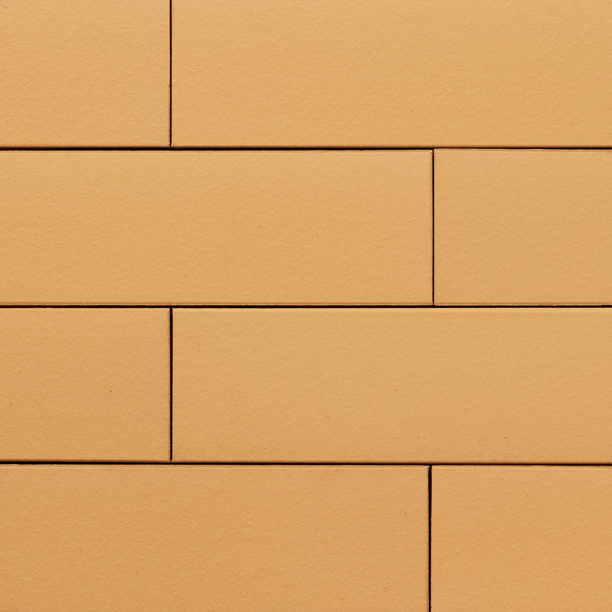 Ammonit Armis Honey Yellow slip opeka