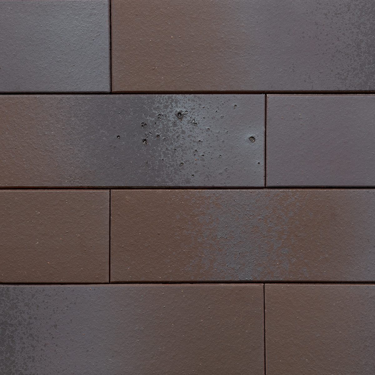 Ammonit Armis Root Grey slip opeka