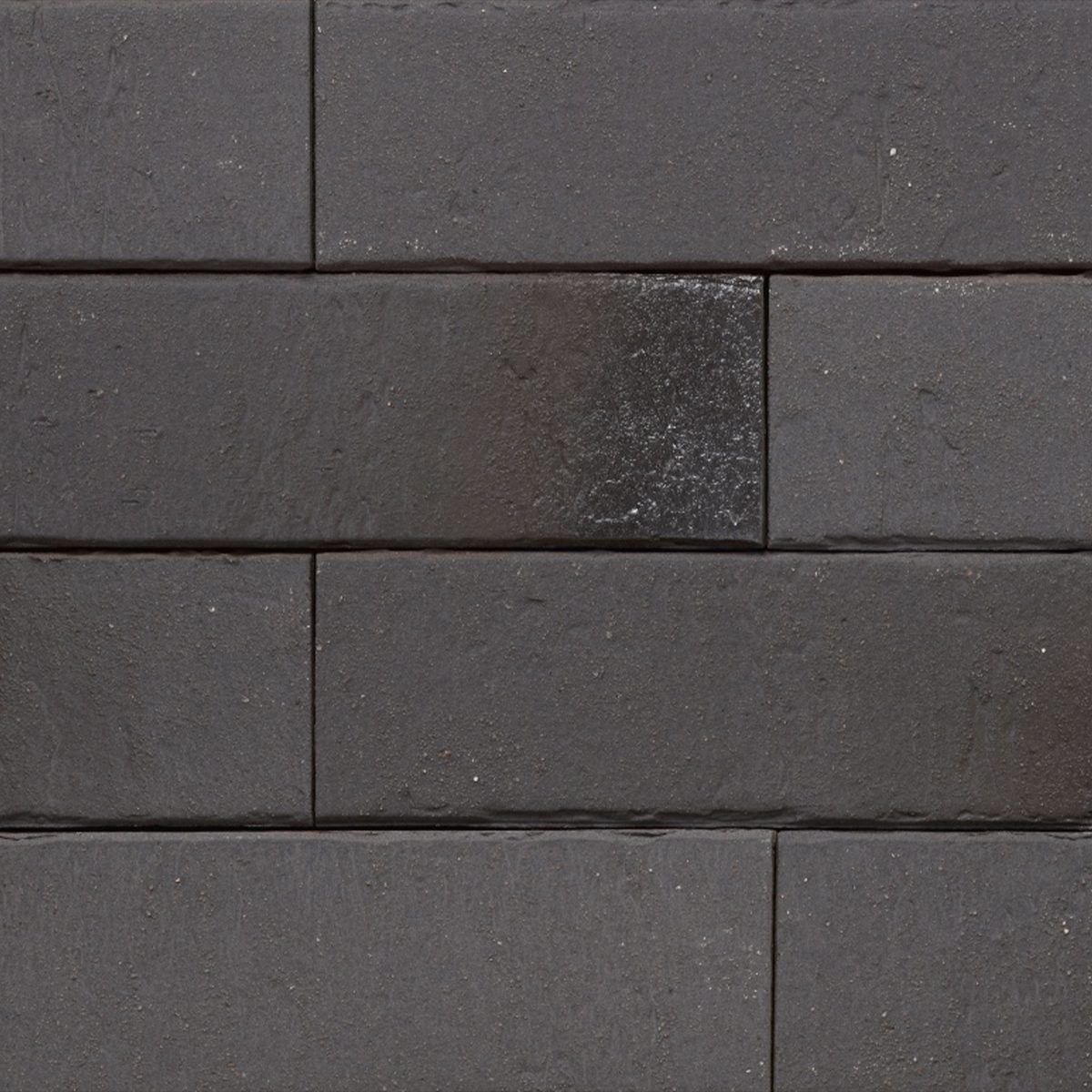 Ammonit Pelaris Root Black slip opeka