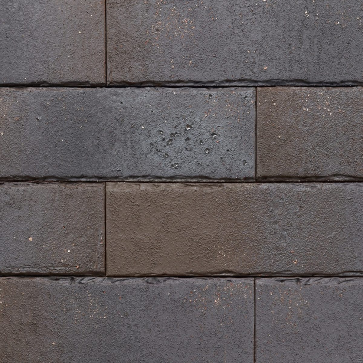 Ammonit Pelaris Pecan Brown slip opeka