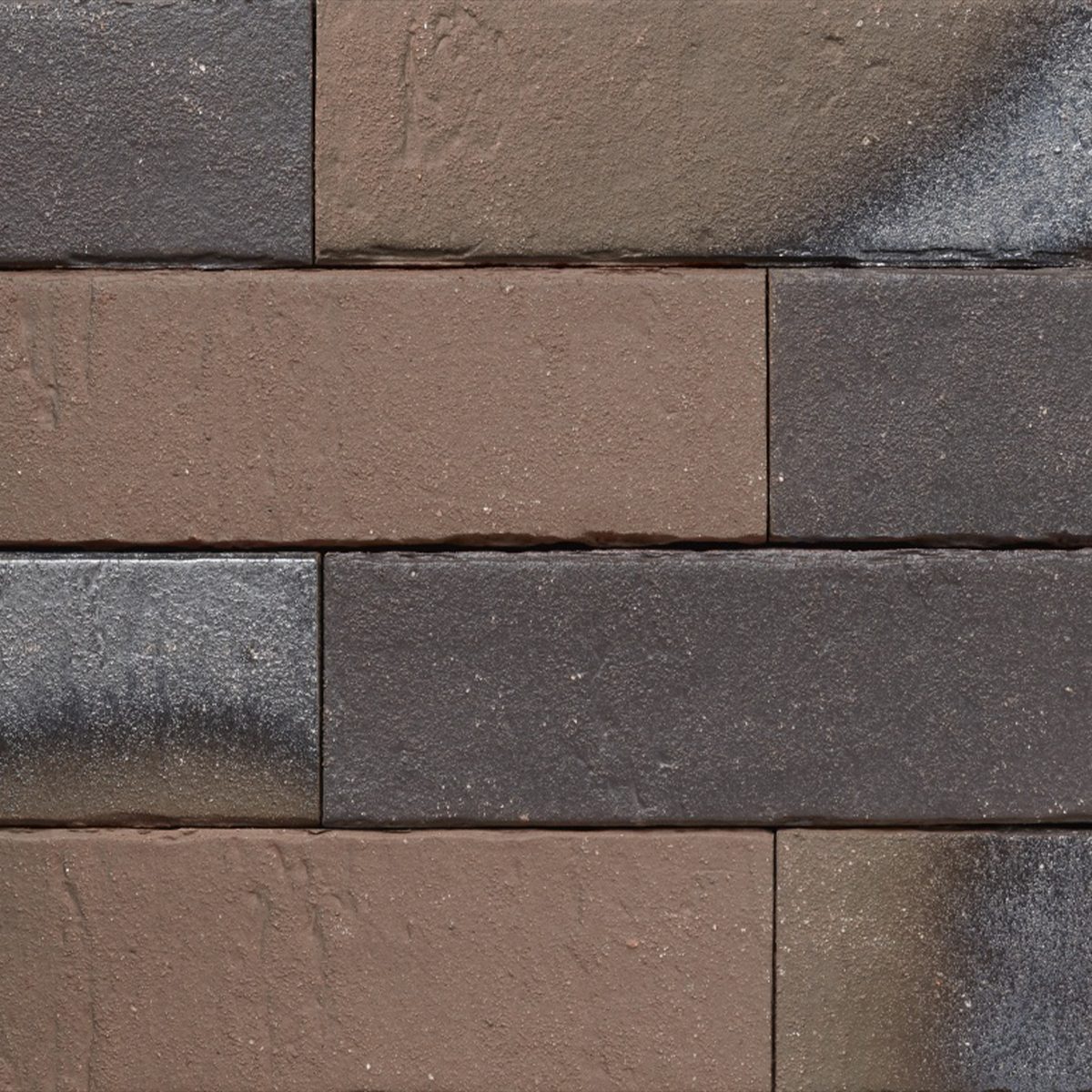 Ammonit Pelaris Maroon Brown slip opeka