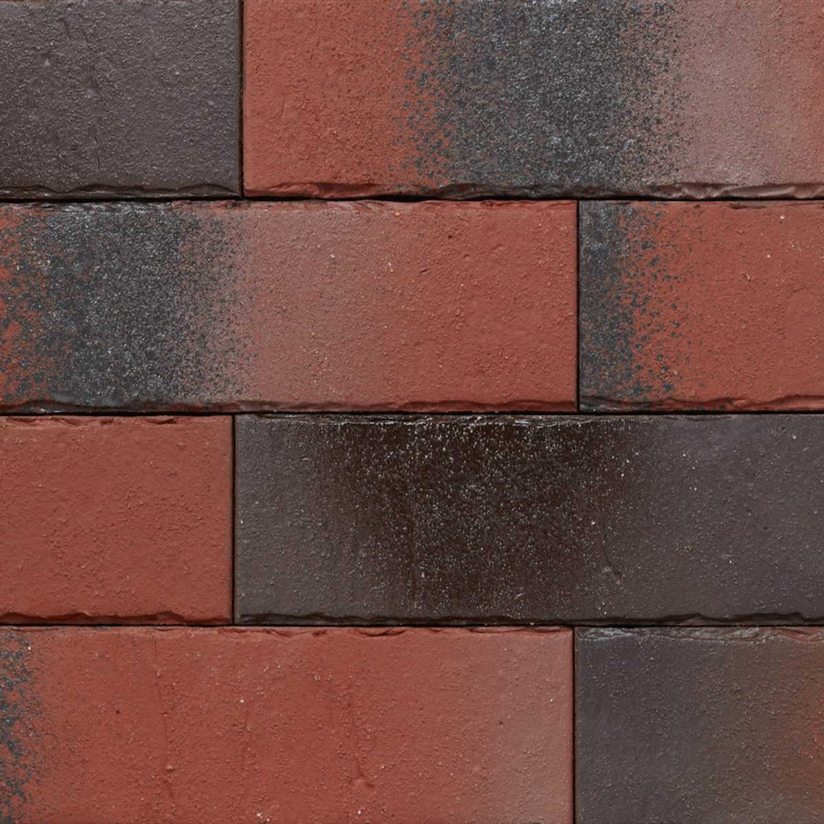 Ammonit Pelaris Vivid Red slip opeka