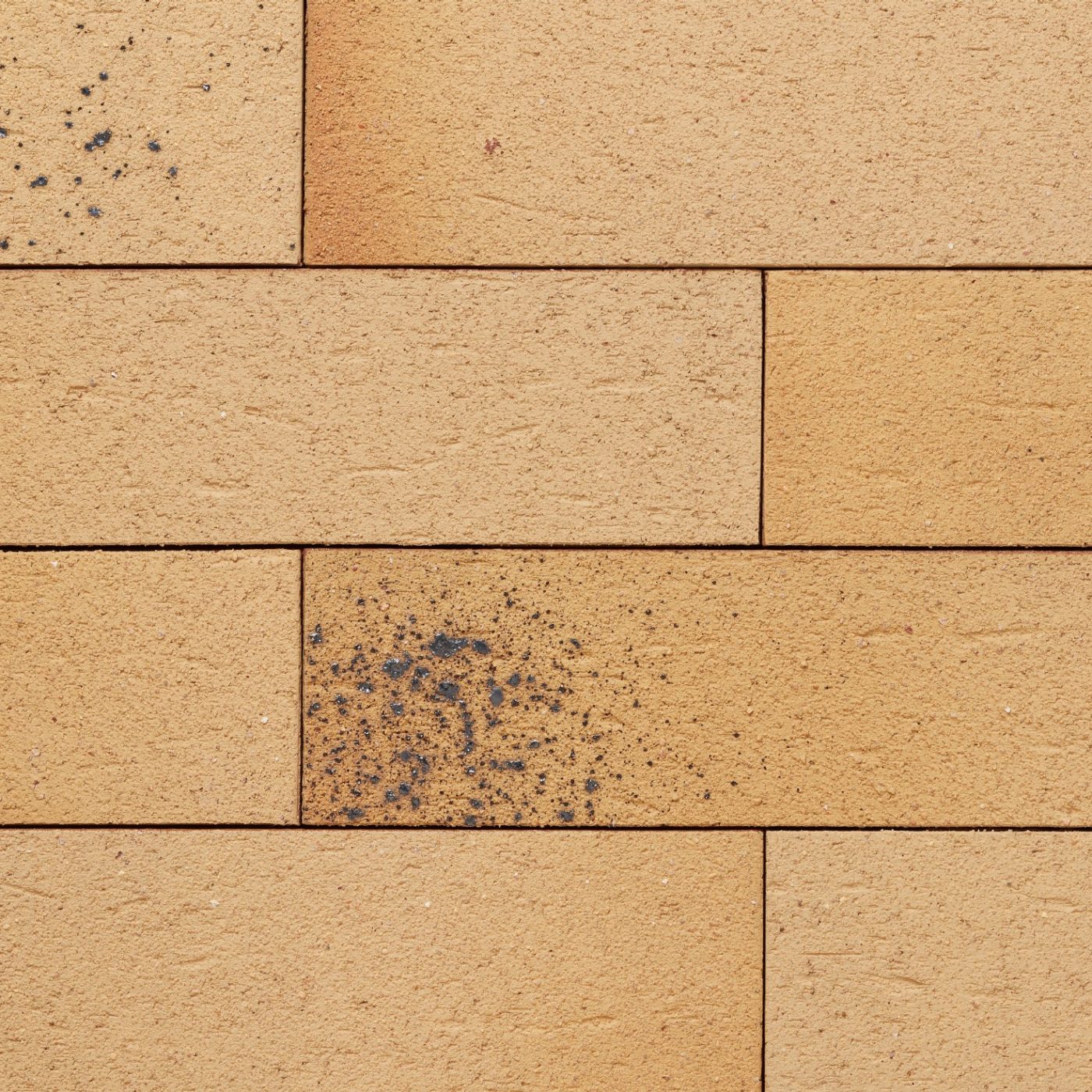 Ammonit Brick Slip Fasanis Papaya Yellow