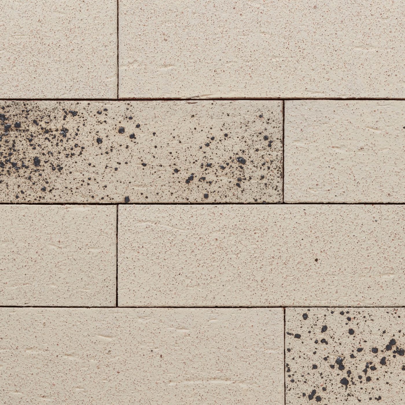 Ammonit Brick Slip Fasanis Zebra White