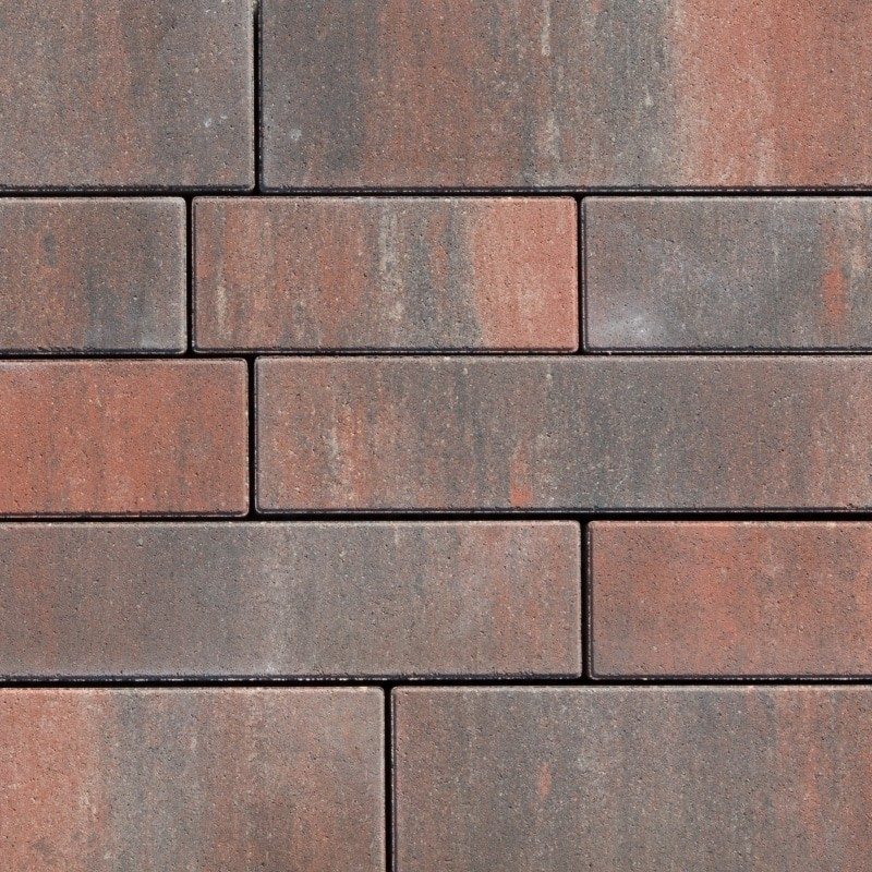 ASTI kombinirana forma carmen