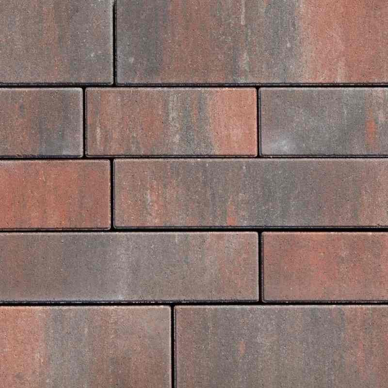 ASTI kombinirana forma carmen