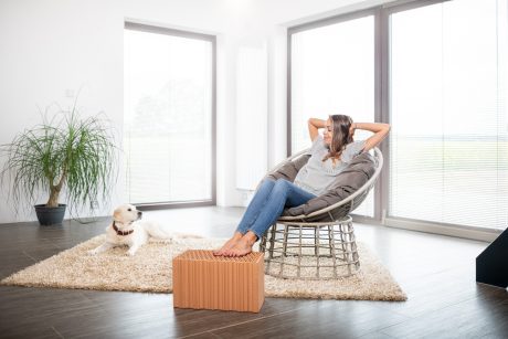 Žena sedící v křesle v obývacím pokoji opřená o cihlu EKO+ Profi s ležícím psem na koberci
