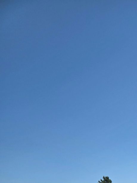 Asortiman proizvoda u Semmelrock izložbenom vrtu