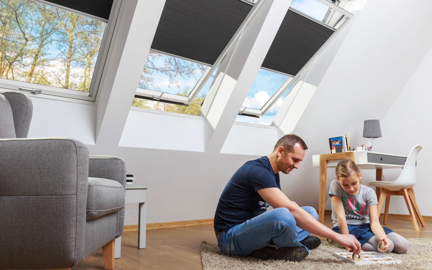 Krovni prozori u dnevnom boravku