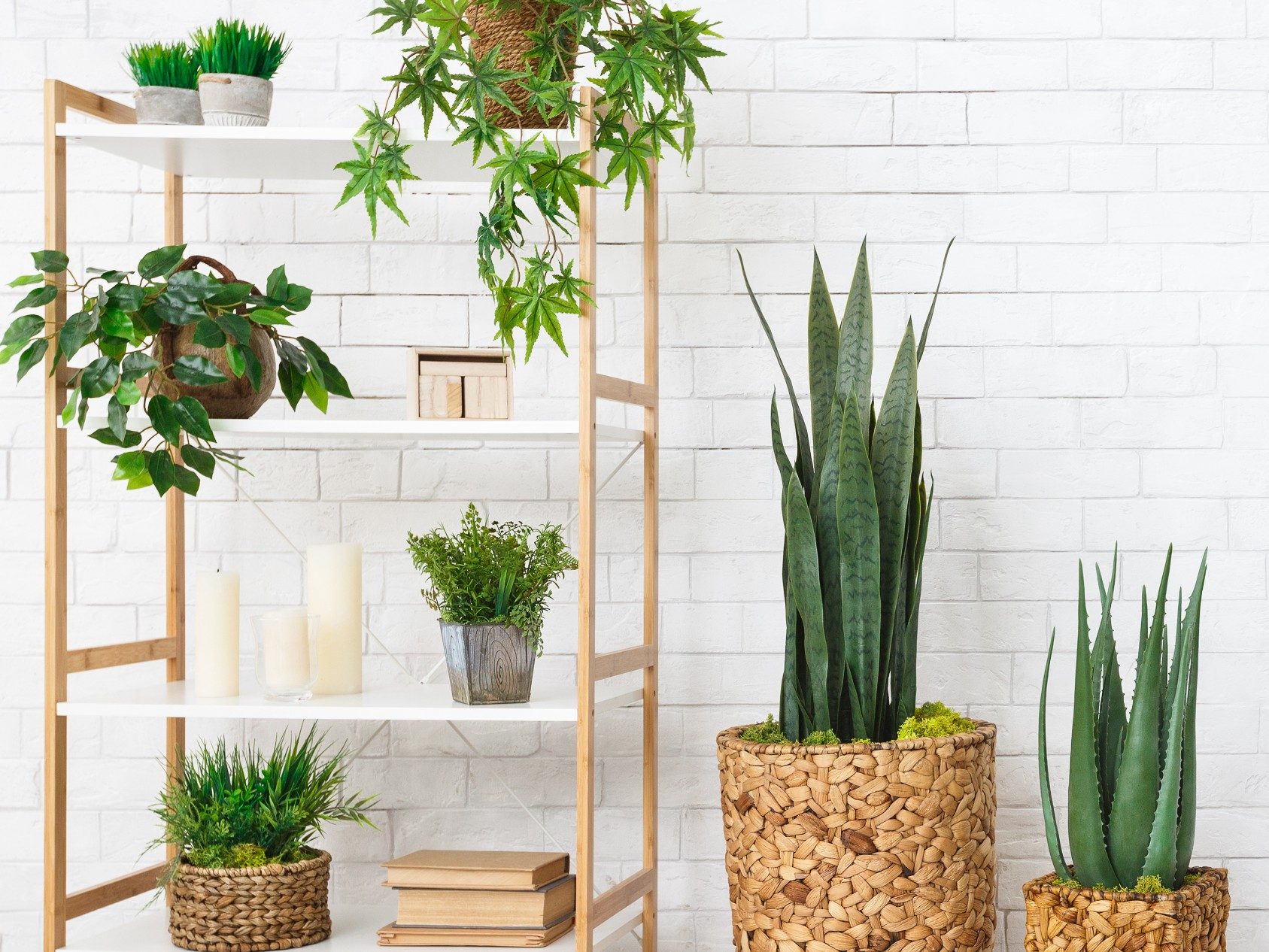 Bijeli zid od opeke i biljke