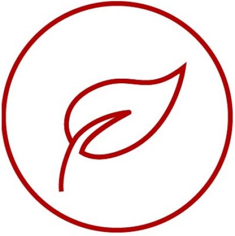 Icon with leaf for nature, sustainability, environment, e4